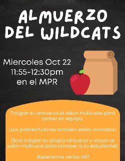 Lunch bag with details about event